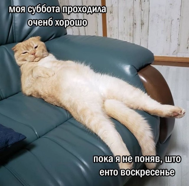 Сброс балласта. Картинки.