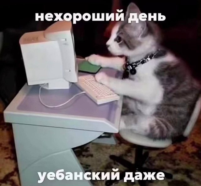 Картинки для деградации 303 (разной степени свежести)