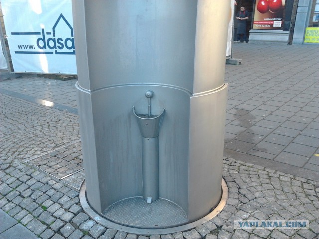 Где яблоки растут!