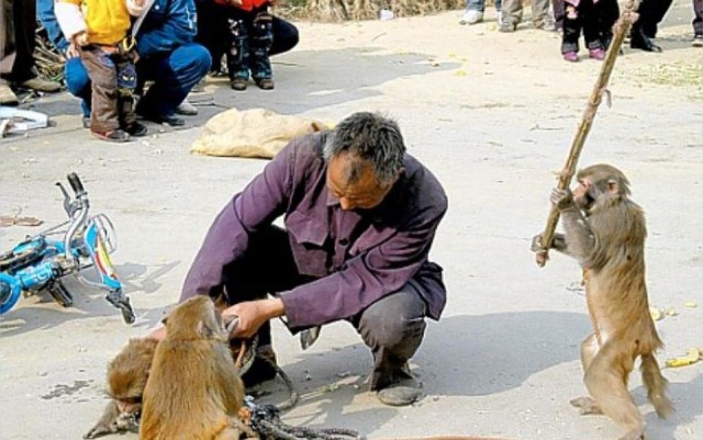 Грабеж среди белого дня