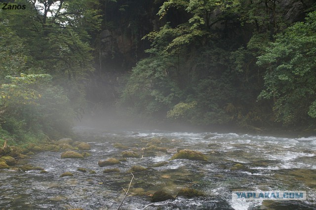 Как мы этим летом в Абхазию съездили!