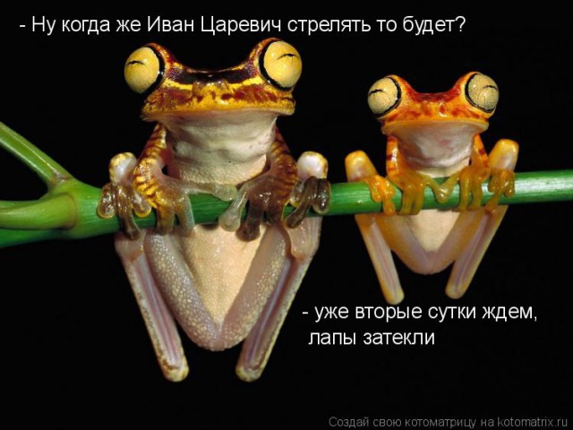 Плюсомет со шпалометом