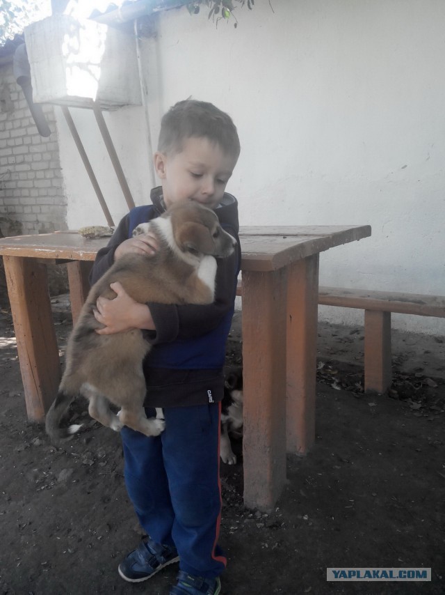 Последнее фото с Вашего телефона.