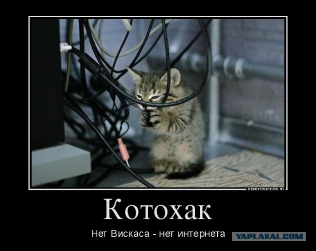 Смешное из сети #2