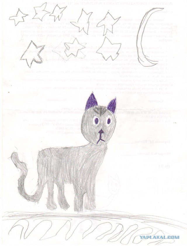 Котовторник 21.10.2014