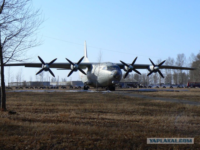 Летающий Медведь - ТУ95