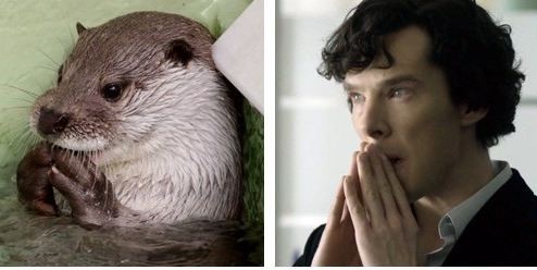 Тайна Шерлока