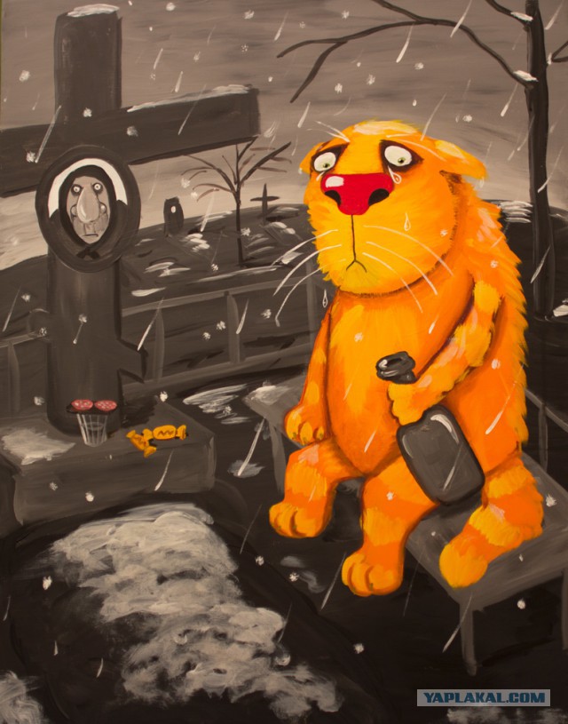 30 летний кот СУТ