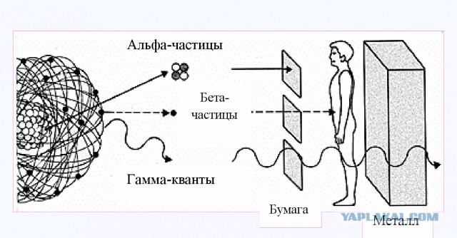 Что писали о русских их противники в войнах