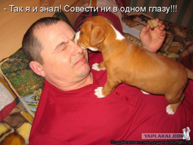 Немного братьев наших меньших! ЧЕТВЕРГ