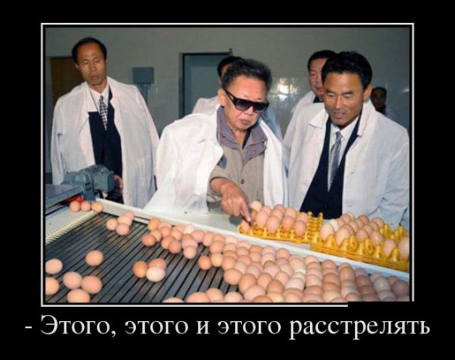 В КНДР министра расстреляли из зенитного орудия
