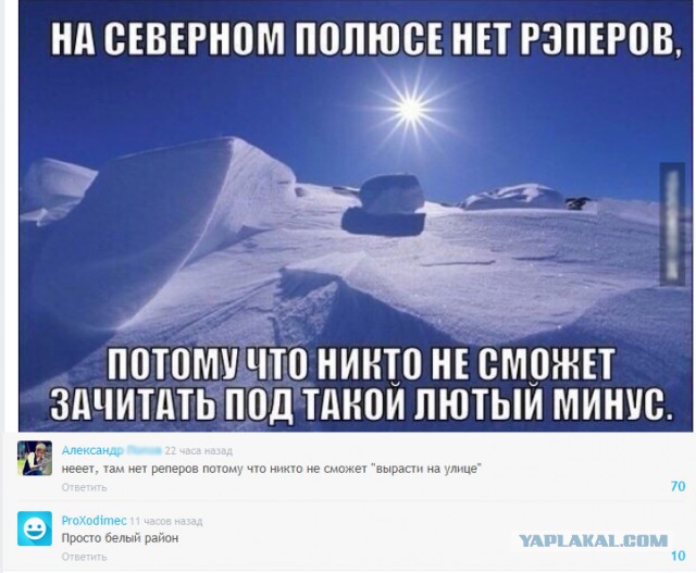 Смешные комментарии из социальных сетей