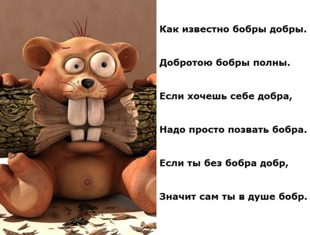 Песочница обыкновенная от IT-ка