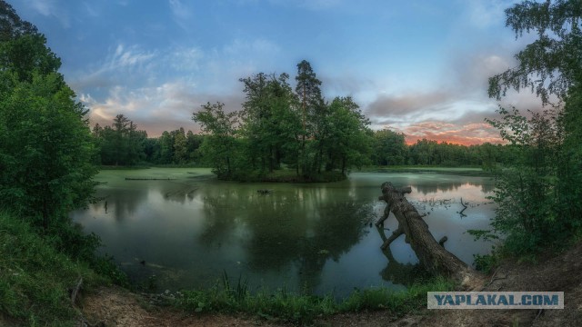 Моё увлечение фотографией