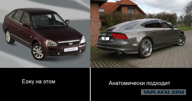 С точки зрения анатомии...