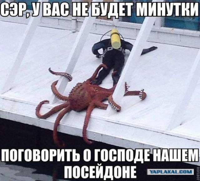 Хотите поговорить о боге?