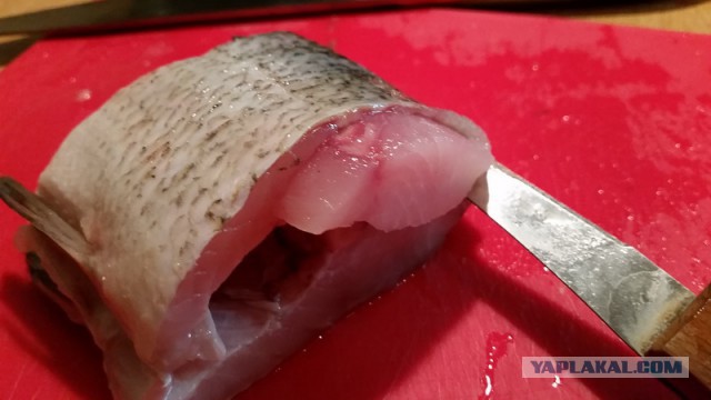 Гефилте фиш – классическая фаршированная рыба по-еврейски.