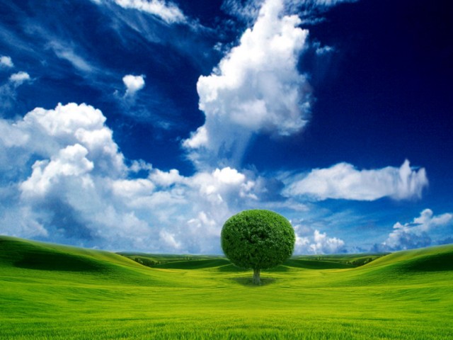 Wallpapers, ОБОИ НА РАБОЧИЙ СТОЛ