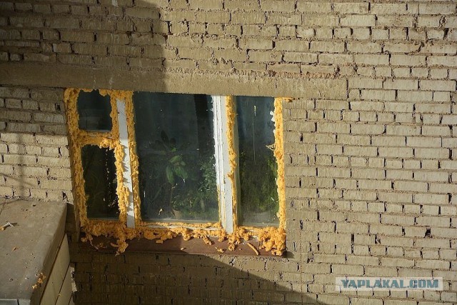 Немного лёгкой наркомании в картинках