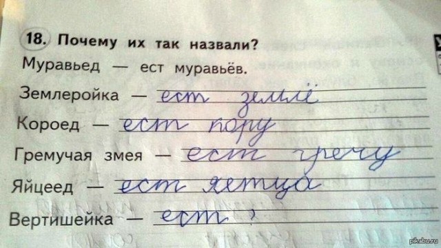Гениальная детская логика