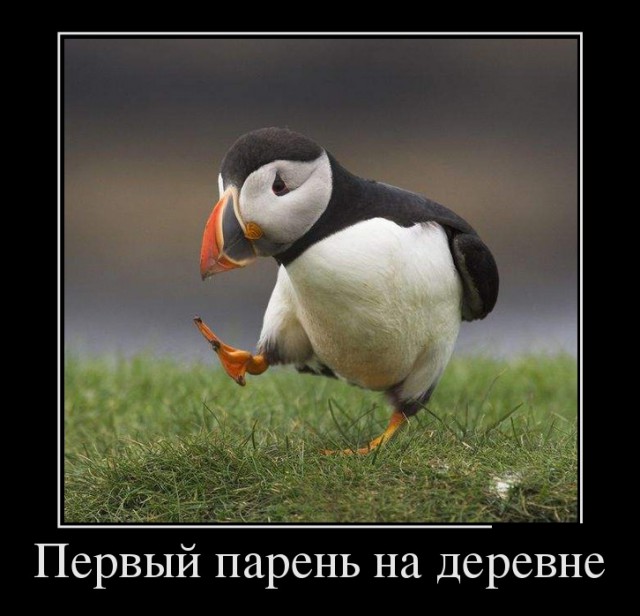 Картинки разные