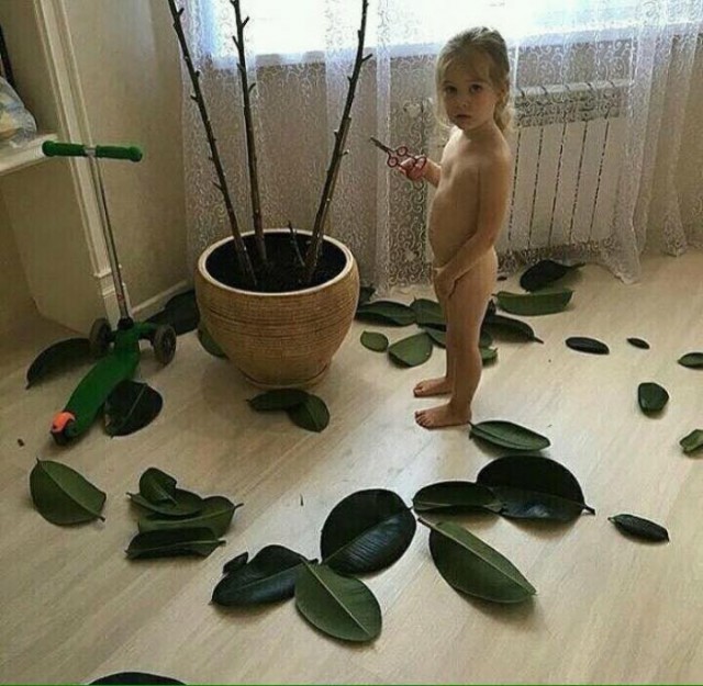 Просто наступила осень