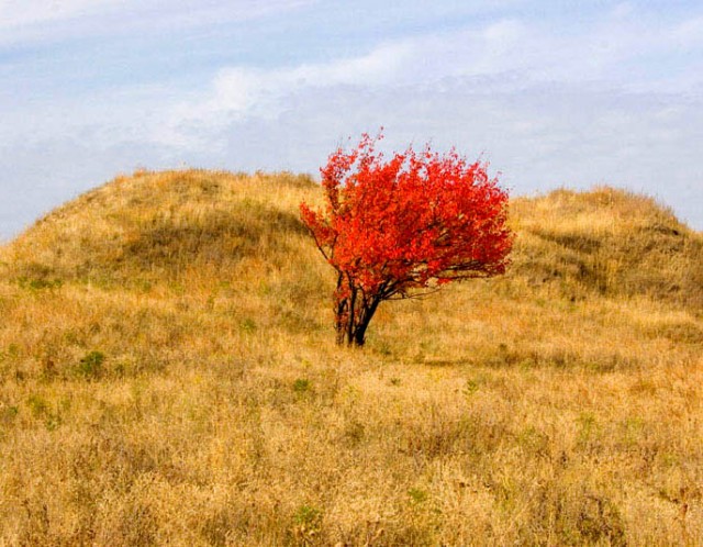 Осень