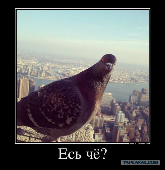 Сбитый пиксель