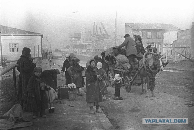 1941-1942. Смоленск в цвете