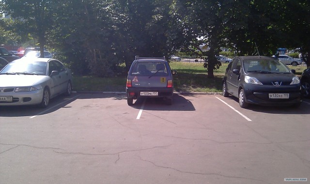 Паркуюсь как хочу!