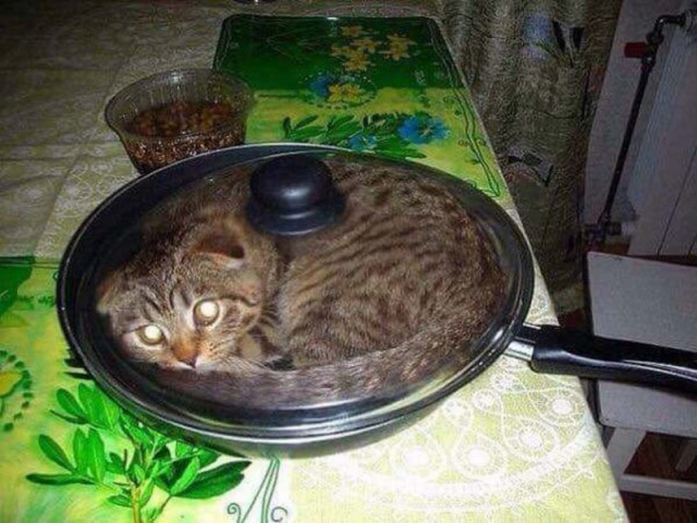 Немного милоты