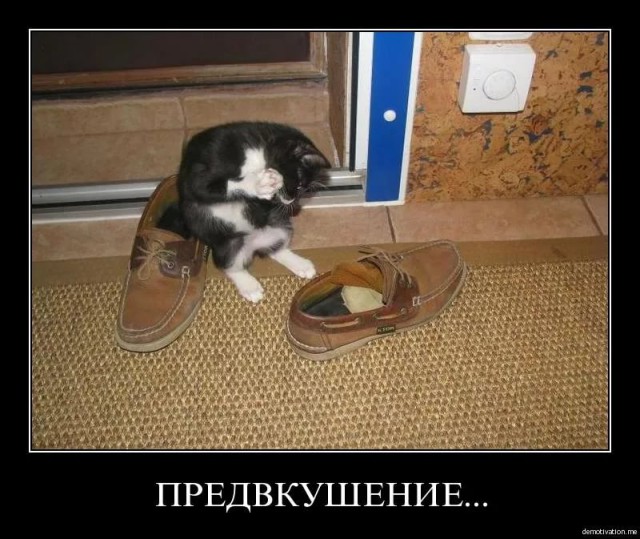 Не очень адекватный юмор