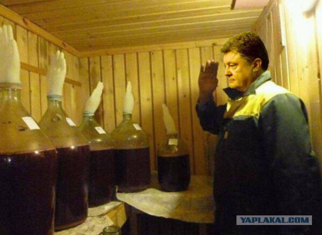 На Украине приняли закон об исключительности украинского языка