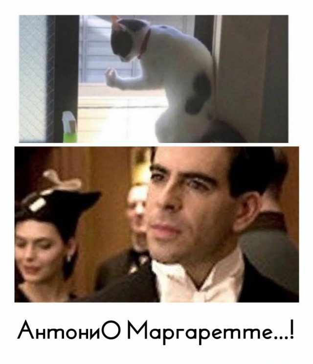 Немного картинок с надписями и без - 17
