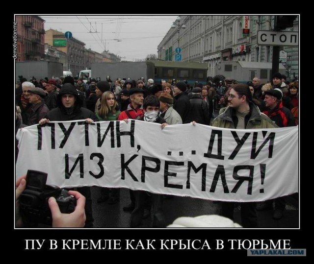 ХРОНИКИ ОККУПАЦИИ