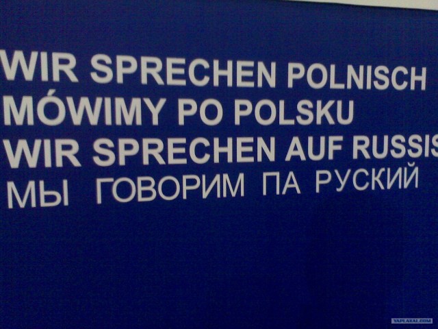 Моя твоя переводить