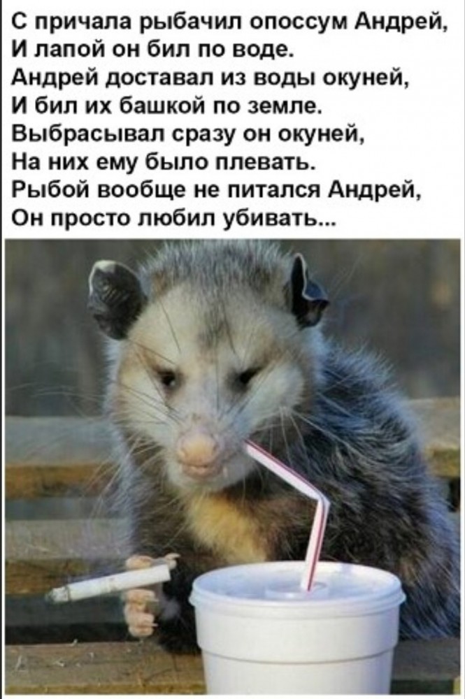 Бредзона 16.02.20