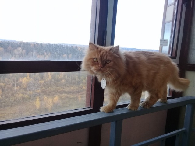А у Вас какой вид из окна?