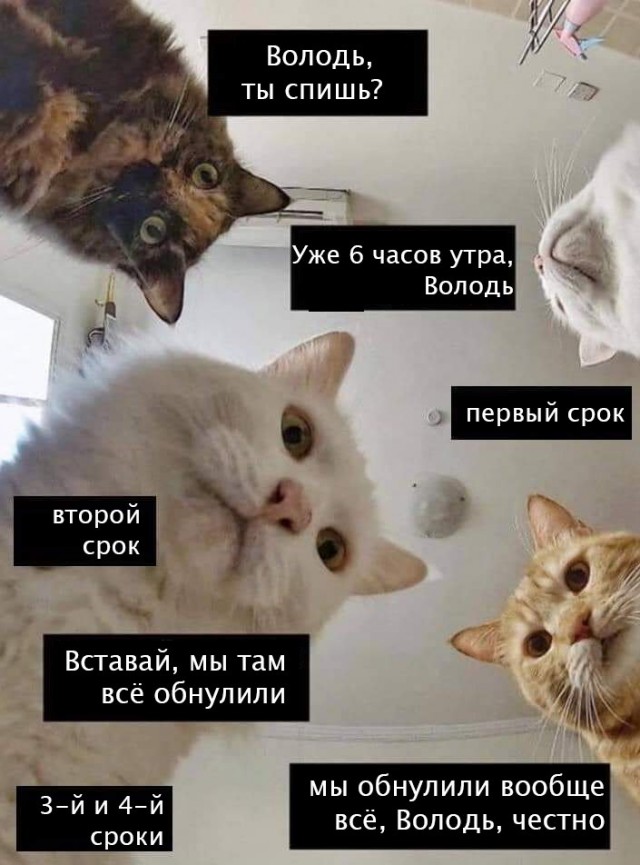 Бредзона 10.03.2020