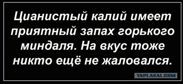 Снова пятница. И немного слегка пошлых картинок с надписями и без 16+ (31.07)
