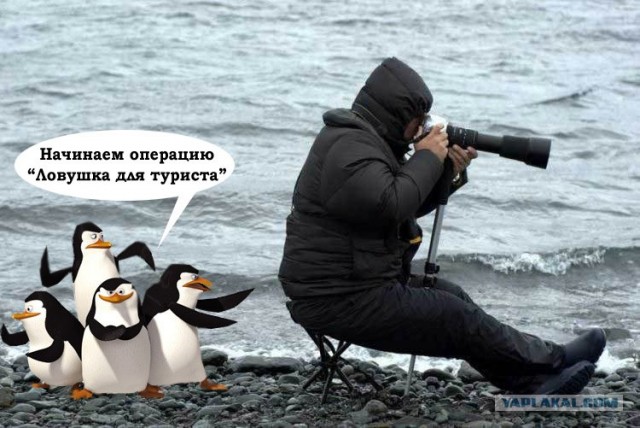 Внимательный фотограф