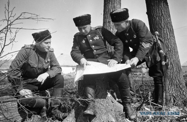 В Новочеркасске на праздник повесили баннер с казаками Вермахта, скандал назвали технической ошибкой