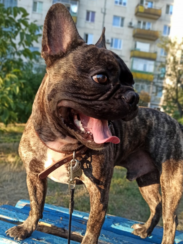 Ну что ж ты так неаккуратно, хозяин?