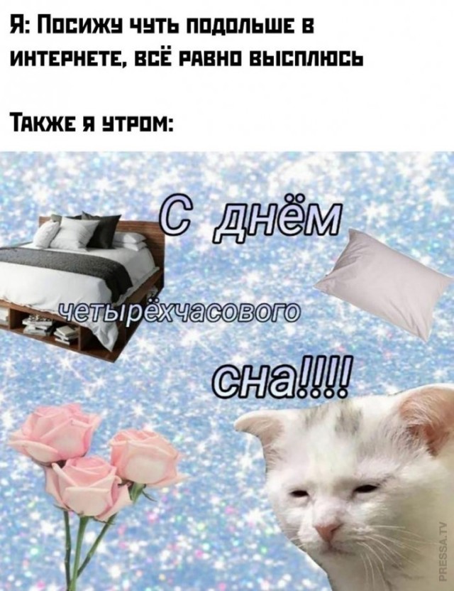 Немного картинок для настроения 05.11.20