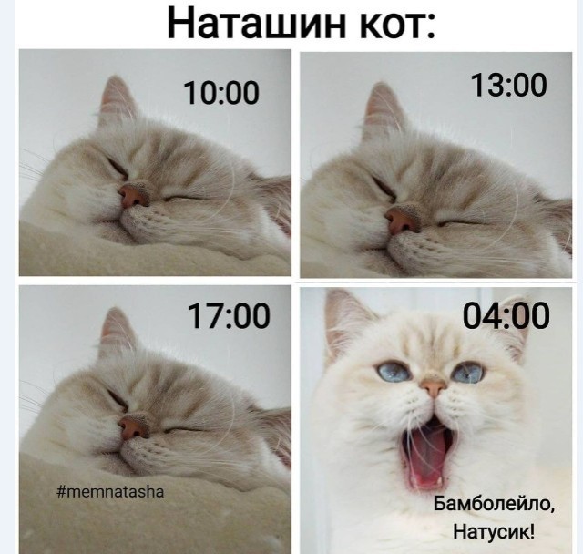 Картинки и мемы для настроения 004