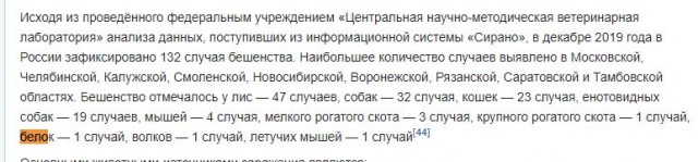 Поймала белку