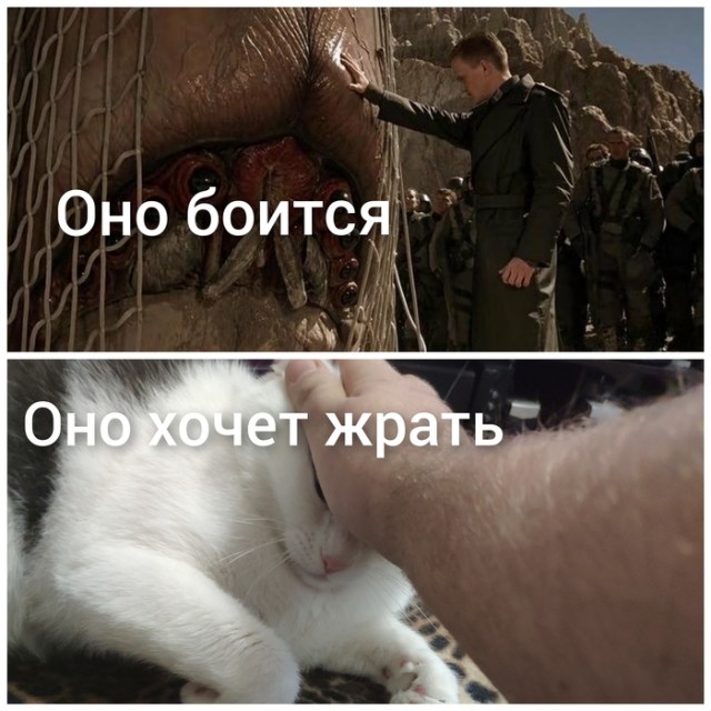 Не очень адекватный юмор