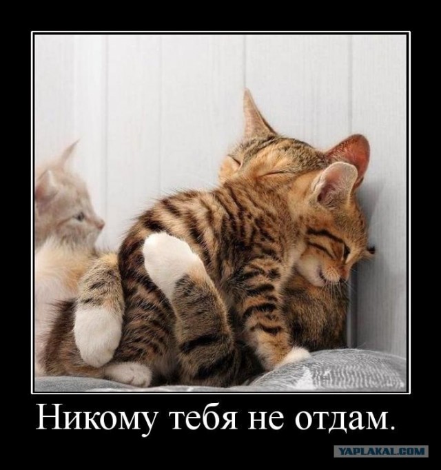 Самые нежные объятия