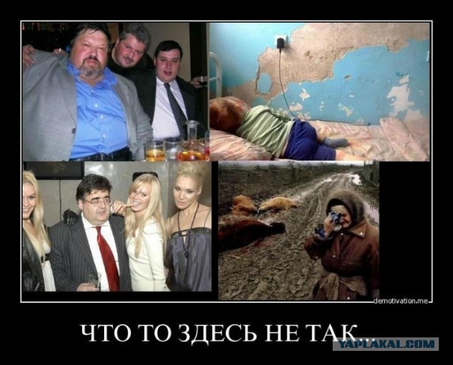 И снова "одарённое" чадо!