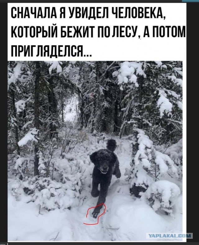 Картинки с надписями и всякие жизненные фразы